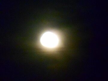 12月13日（27）仮