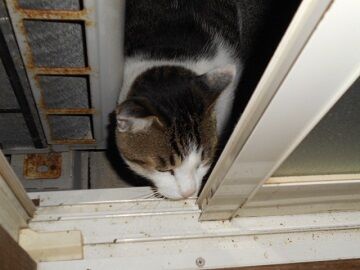 10月2日（22-1）仮