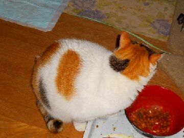 12月23日（17）仮