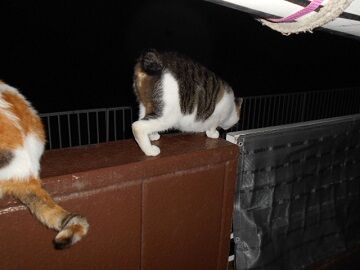 8月25日（39）仮