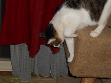 9月28日（21-7）仮