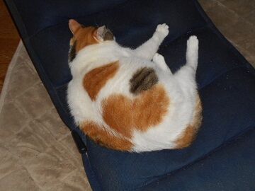 10月2日（23-3）仮