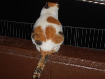 9月12日（20-2）仮