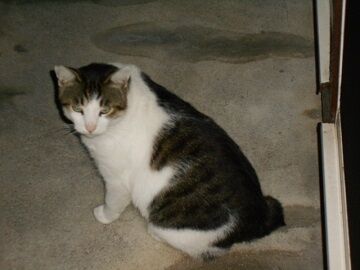 9月26日（20-13）仮