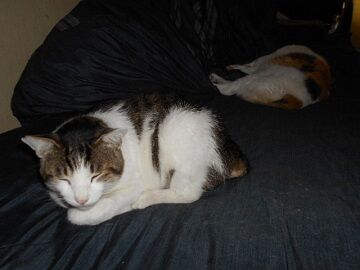 6月25日（28）仮