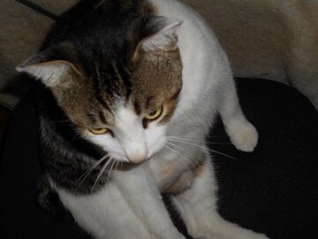 9月23日（9-5）仮