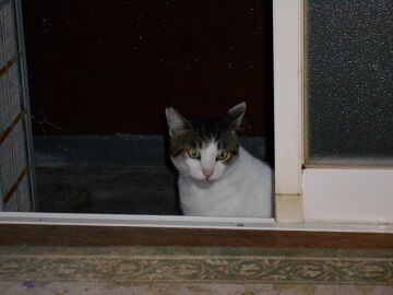 9月12日（5-6）仮