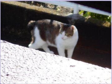 6月13日（19）仮