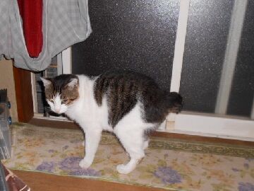 10月7日（22-8）仮