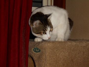 9月27日（19-17）仮