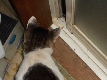 9月23日（22-3）仮