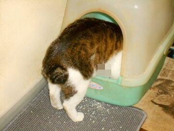 5月19日（24）仮