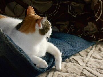 9月25日（7-4）仮