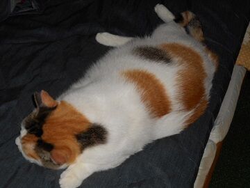 9月21日（19-10）仮