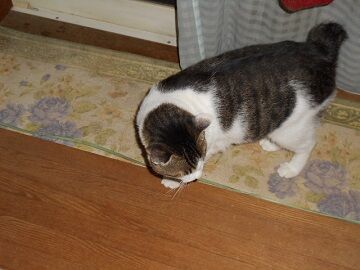 9月23日（3-9）仮