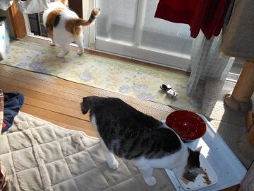 10月3日（7-9）仮