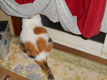 9月29日（0-1）仮