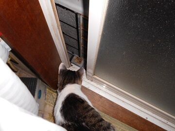 10月12日（0-8）仮