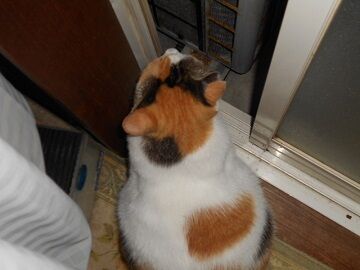 9月21日（3-15）仮