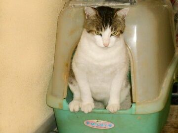 6月20日（13）仮