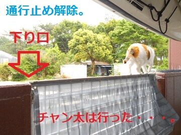 5月18日（83）仮