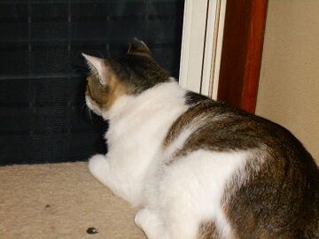 6月25日（45）仮