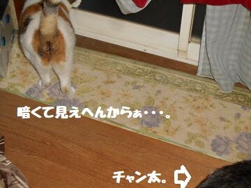 9月15日（3-1）仮