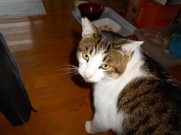 12月19日（2）仮