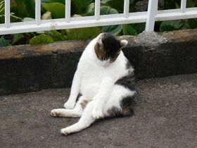 10月2日（16-3）仮