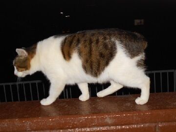 12月12日（29）仮