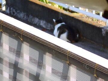 12月20日（2）仮