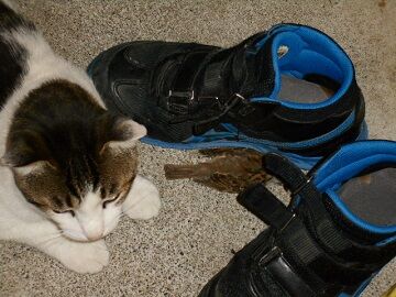 9月24日（23-3）狩り