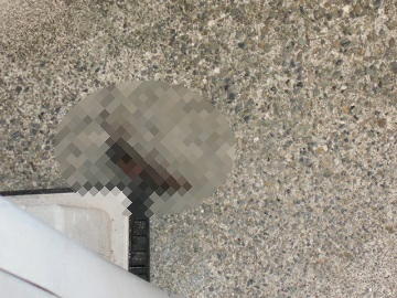 9月22日（6-1）仮