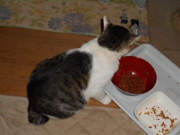 9月12日（5-1）仮