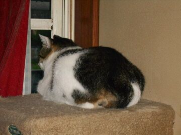 9月21日（6-1）仮