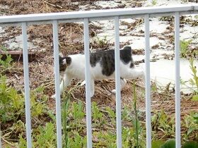 8月28日（104）仮