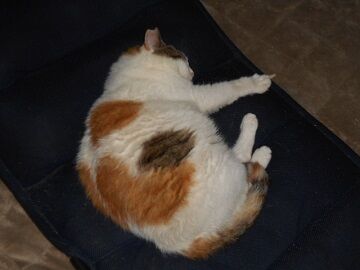 7月27日（16）使用