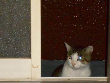 6月24日（45）仮