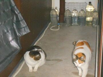 12月31日（23）仮