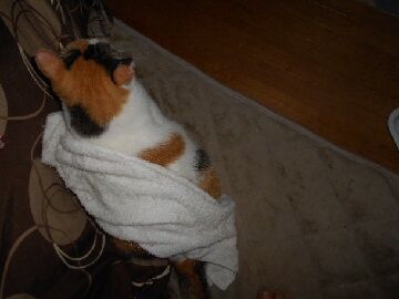 9月7日（20-11）仮