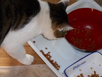 9月22日（6-3）仮