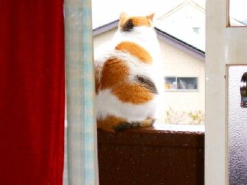 10月19日（1）仮