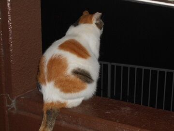 9月24日（19-16）仮