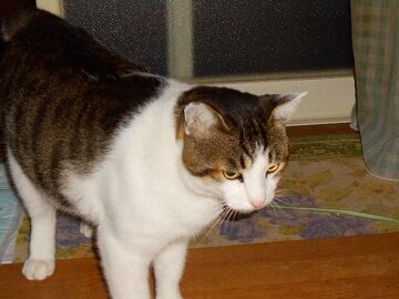 10月25日（6）仮