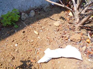 4月10日（29）仮