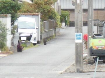 10月1日（13）仮