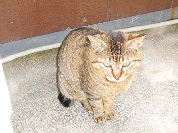 4月29日（11）仮