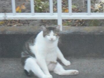 9月30日（65）仮