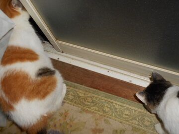 9月10日（18-2）仮