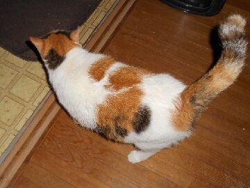 9月18日（43）仮